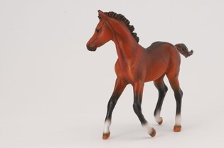 COLLECTA ŹREBIĘ RASY QUARTER MAŚCI BAY 5