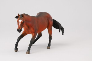 COLLECTA KLACZ RASY QUARTER MAŚCI BAY 4