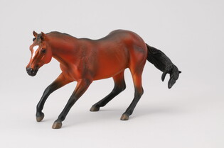 COLLECTA KLACZ RASY QUARTER MAŚCI BAY 5