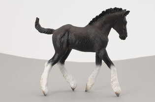 COLLECTA ŹREBIĘ RASY SHIRE CZARNE 3
