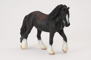 COLLECTA KLACZ RASY SHIRE CZARNA 5
