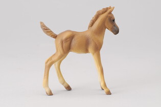 COLLECTA KOŃ ŹREBIĘ STOJĄCE HAFLINGER 4