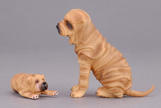 COLLECTA PIES RASY SHAR PEI 3
