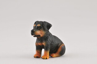 COLLECTA PIES RASY ROTTWEILER SZCZENIAK 3