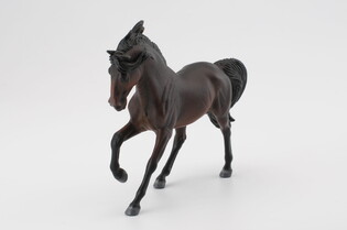 COLLECTA OGIER ANDALUZYJSKI MAŚCI BAY 3