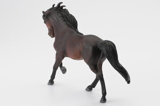 COLLECTA OGIER ANDALUZYJSKI MAŚCI BAY 5