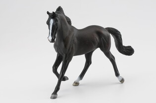 COLLECTA KLACZ THOOROUGHBRED MAŚCI CZARNEJ 3