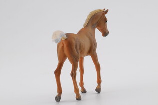 COLLECTA ŹREBIĘ CHESTNUT SPACERUJĄCE 3