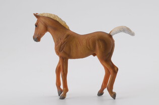 COLLECTA ŹREBIĘ CHESTNUT SPACERUJĄCE 4