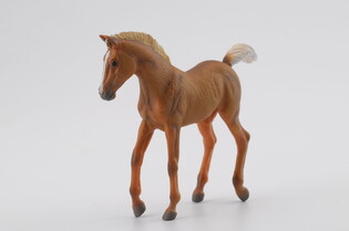 COLLECTA ŹREBIĘ CHESTNUT SPACERUJĄCE 5