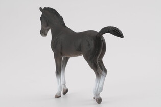 COLLECTA ŹREBIĘ CZARNE SPACERUJĄCE 4