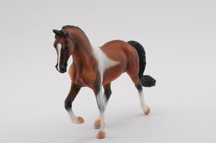 COLLECTA OGIER RASY PINTO BAY SPACERUJĄCY 5