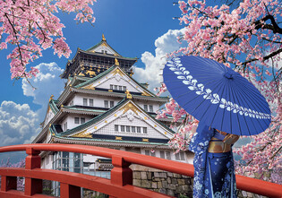 LISCIANI PUZZLE ADULTS JAPONIA 500 ELEMENTÓW 2