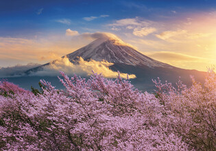 LISCIANI PUZZLE ADULTS JAPONIA 500 ELEMENTÓW 3