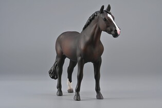 COLLECTA OGIER HOLSTEINER MAŚCI BAY 3