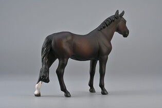 COLLECTA OGIER HOLSTEINER MAŚCI BAY 4