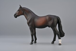 COLLECTA OGIER HOLSTEINER MAŚCI BAY 5