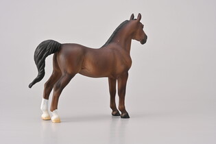COLLECTA  AMERICAN SADDLEBRED STALLION LIVER KASZTANOWY 4