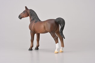COLLECTA  AMERICAN SADDLEBRED STALLION LIVER KASZTANOWY 5
