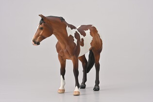 COLLECTA APPALOOSA OGIER MAŚCI BAY OVERO 3