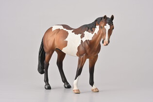 COLLECTA APPALOOSA OGIER MAŚCI BAY OVERO 4