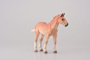 COLLECTA NORIKER KASZTANOWY ŹREBAK 3