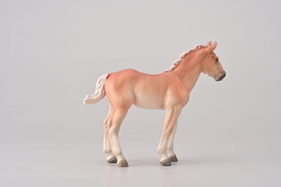 COLLECTA NORIKER KASZTANOWY ŹREBAK 4