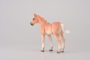 COLLECTA NORIKER KASZTANOWY ŹREBAK 5