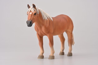 COLLECTA NORIKER KASZTANOWA KLACZ 3