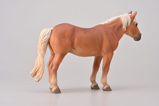 COLLECTA NORIKER KASZTANOWA KLACZ 5