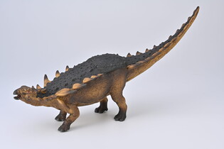 COLLECTA POLAKANT SKALA 1:20 DELUXE 5