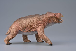 COLLECTA PLACERIAS SKALA 1:20 DELUXE 3