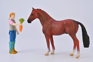 COLLECTA DŻOKEJ I AKCESORIA W OPAKOWANIU 5