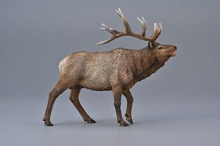 COLLECTA JELEŃ KANADYJSKI 5