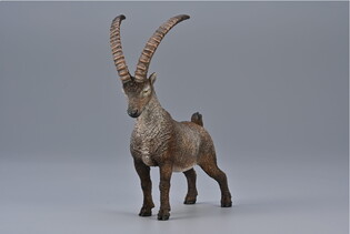 COLLECTA KOZIOROŻEC ALPEJSKI 3