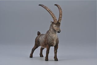 COLLECTA KOZIOROŻEC ALPEJSKI 4