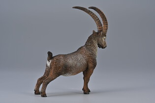 COLLECTA KOZIOROŻEC ALPEJSKI 5