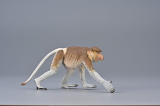 COLLECTA NOSACZ SUNDAJSKI 4