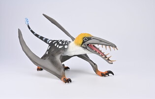 COLLECTA DEARC SGIATHANACH Z RUSZAJĄCĄ SIĘ SZCZĘKĄ - DELUXE SKALA 1:6 3