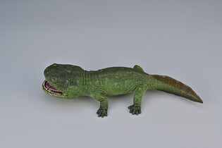 COLLECTA KULAZUCH 4