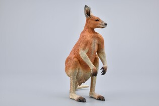 COLLECTA CZERWONY KANGUR SAMIEC 4