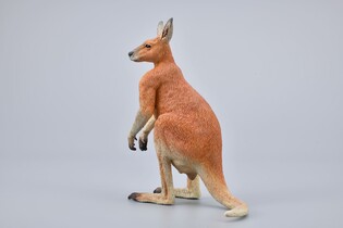 COLLECTA CZERWONY KANGUR SAMIEC 5