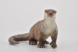 COLLECTA  WYDRA 4