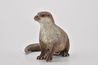 COLLECTA  WYDRA 5