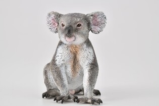 COLLECTA KOALA 3