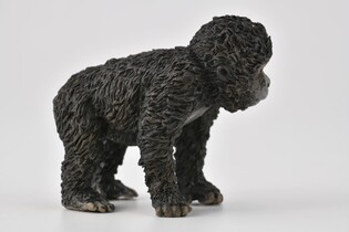COLLECTA MŁODE GORYLA GÓRSKIEGO 3