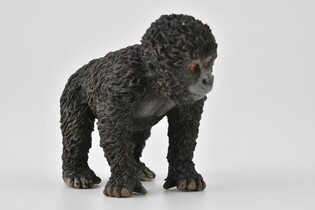 COLLECTA MŁODE GORYLA GÓRSKIEGO 4