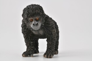 COLLECTA MŁODE GORYLA GÓRSKIEGO 5