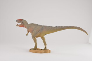 COLLECTA DINOZAUR MAPUSAURUS SKALA 1:40 (DELUXE) 4