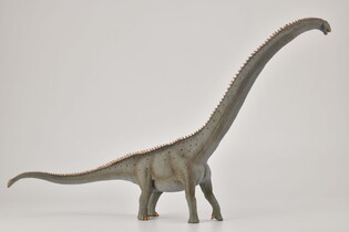 COLLECTA DINOZAUR MAMENCHIZAUR (DELUXE) 3